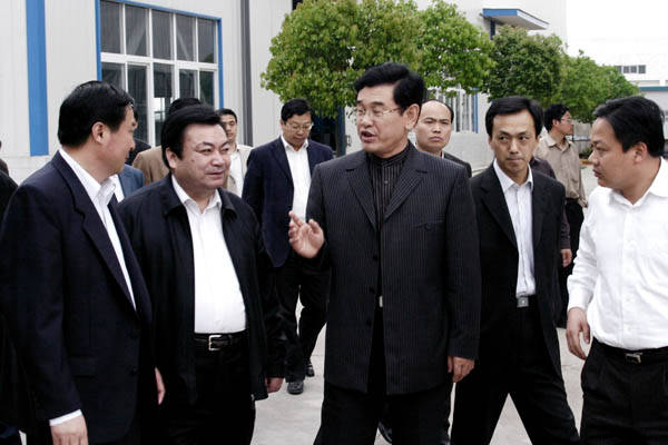 安徽省常务副省长任海深来我公司观赏观察