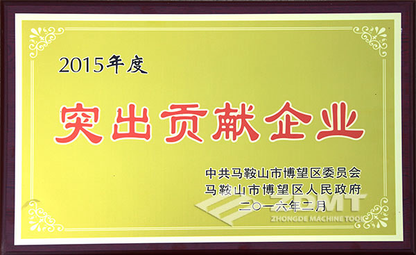 2015年度全区凸起进献企业